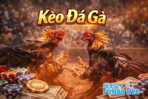Kèo Đá Gà FUN88: Hướng Dẫn Bắt Kèo Chuẩn Theo Kinh Nghiệm Bet Thủ